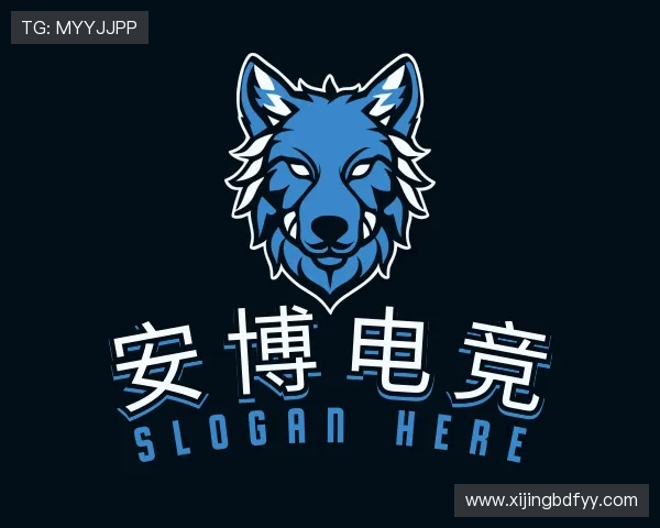了解安博电竞app官网